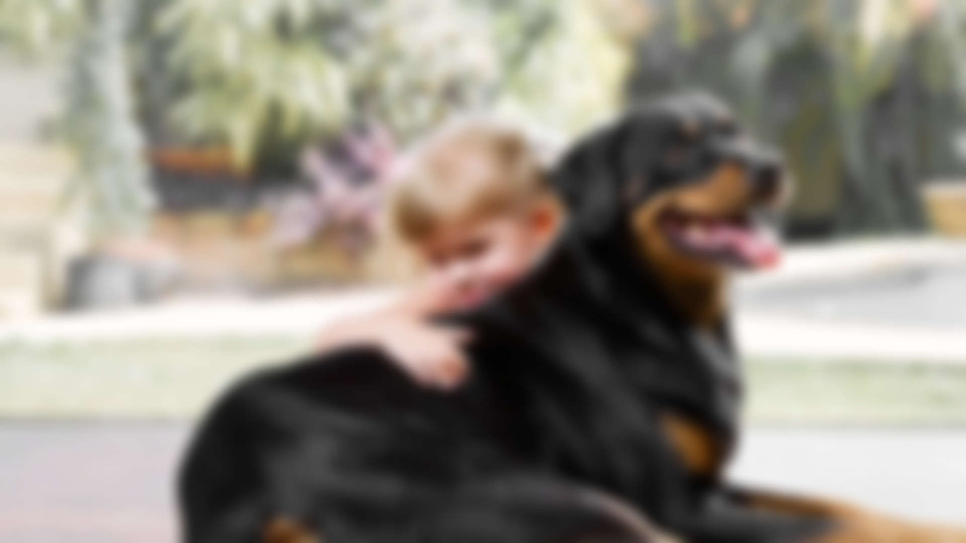 8 Tips for Taking the Perfect Photo of Your Pet