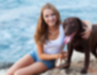 How Often Should My Dog Be Groomed?