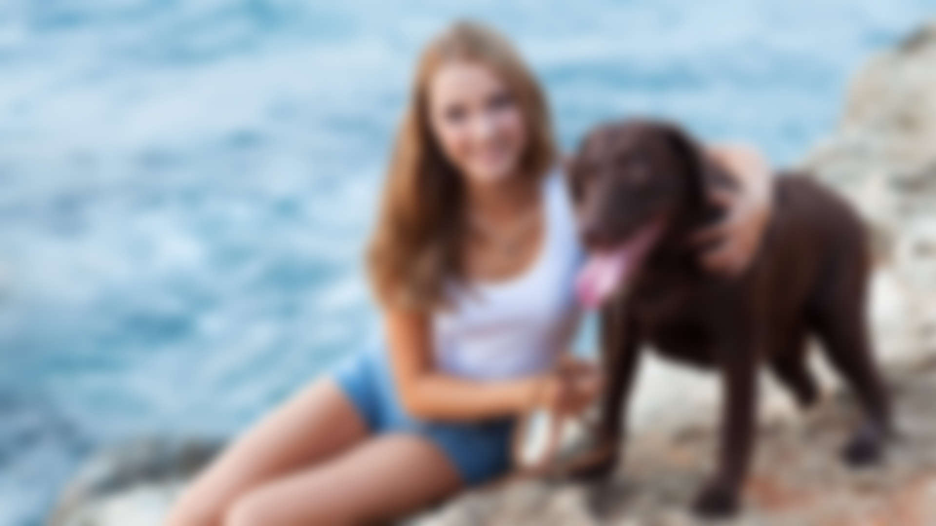 How Often Should My Dog Be Groomed?